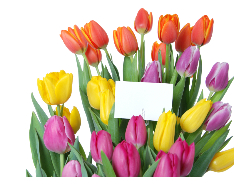 Mother's Day Gift